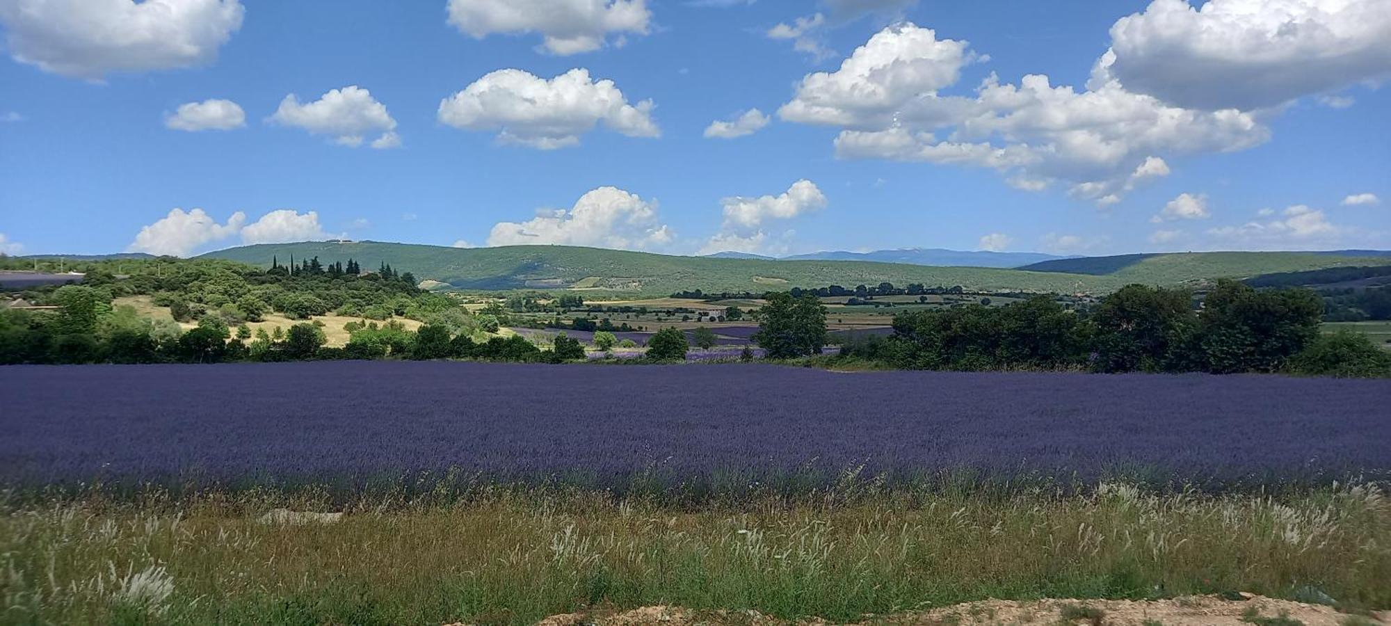 Gite La Mosaique Dauphin Экстерьер фото